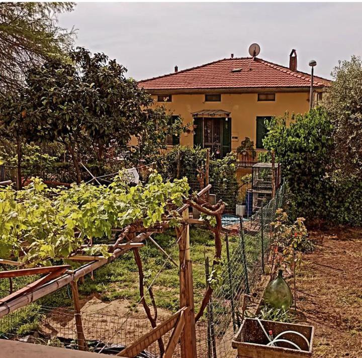 Casa Vacanze Toscana,Lago Di Massaciuccoli Exterior photo